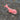 GRIGRI BALEINE ROSE
