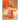 ROBE ILOI CREVETTE