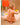 ROBE ILOI CREVETTE