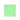 SERVIETTE HONORE FLUO VERT
