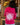 SWEAT FEMME SOLEIL FUCHSIA