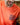 T-SHIRT RIDERS CORAIL